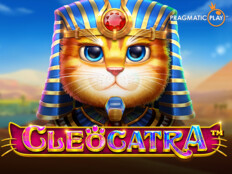 Casino slots free online43